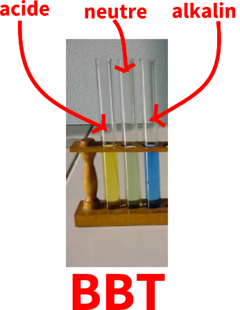 BBT image