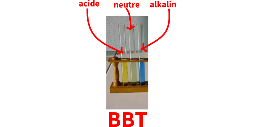 Etude du BBT
